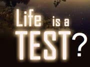 Tapa de If this life was a test