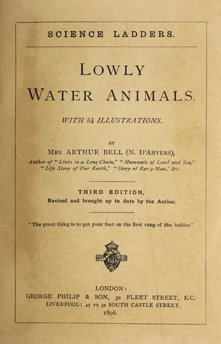 Tapa de Lowly water animals