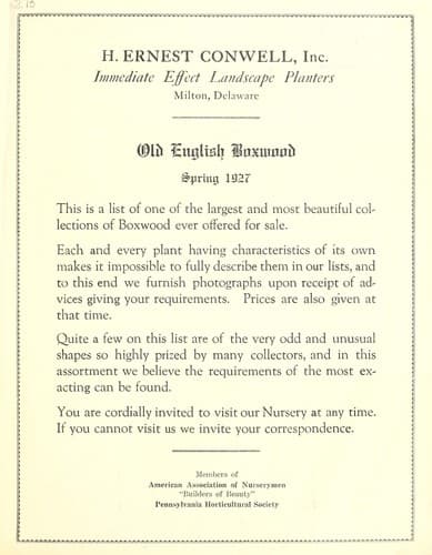Tapa de Old English boxwood