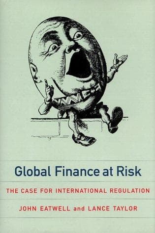 Tapa de Global finance at risk