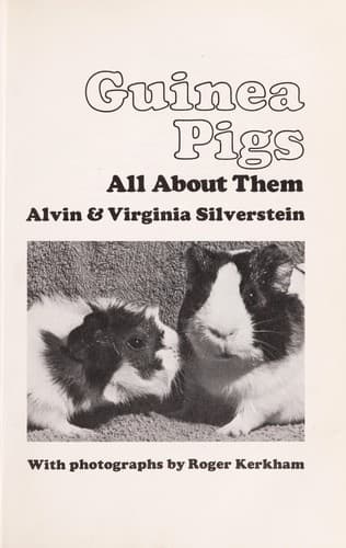 Tapa de Guinea pigs, all about them