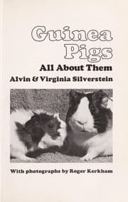 Tapa de Guinea pigs, all about them