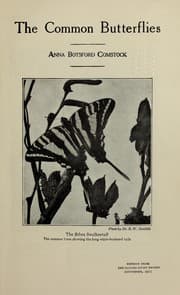 Tapa de The common butterflies