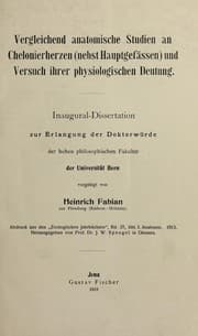 Tapa de Vergleichend anatomische Studien an Chelonierherzen (nebst Hauptgefa ssen) und Versuch ihrer physiologischen Deutung