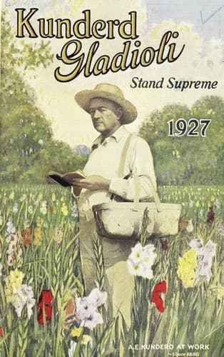Tapa de Kunderd gladioli stand supreme