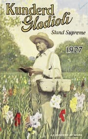 Tapa de Kunderd gladioli stand supreme