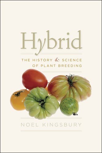 Tapa de Hybrid