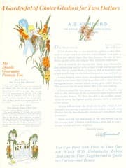 Tapa de A gardenful of choice gladioli for two dollars