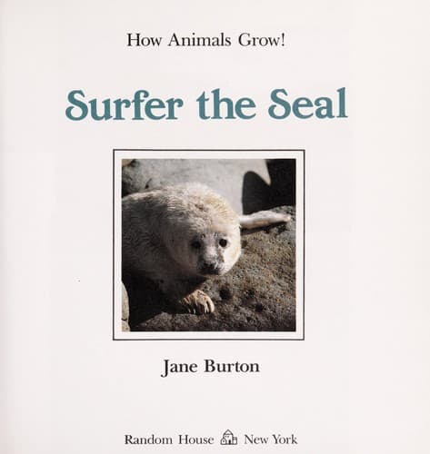 Tapa de Surfer the seal