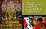Tapa de Rohingya Revenge