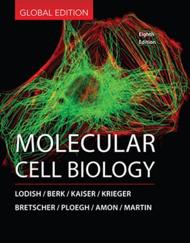 Tapa de Molecular cell biology - 8 edición
