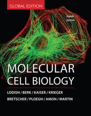 Tapa de Molecular cell biology - 8 edición