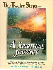 Tapa de The twelve steps - a spiritual journey
