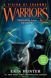Tapa de Thunder and Shadow