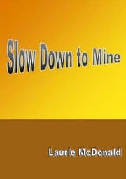 Tapa de Slow Down to Mine