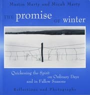 Tapa de The promise of winter