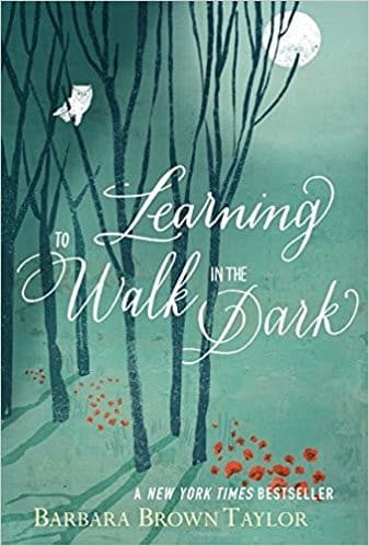 Tapa de Learning to walk in the dark