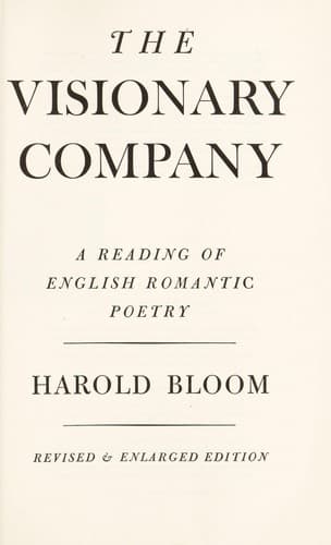 Tapa de The visionary company