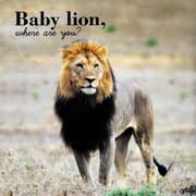 Tapa de Baby, where are you?