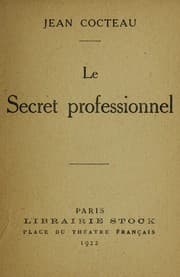Tapa de Le secret professionnel