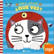 Tapa de ¿Qué ves?. Hola amigo