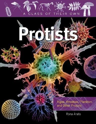 Tapa de Protists : algae, amoebas, plankton and other protists