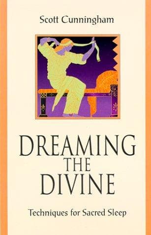 Tapa de Dreaming the divine