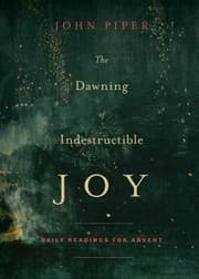Tapa de The Dawning of Indestructible Joy