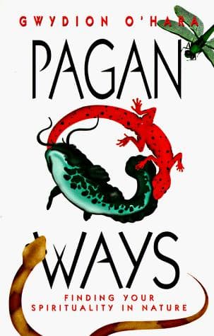 Tapa de Pagan ways