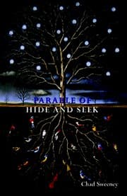 Tapa de Parable of Hide and Seek