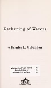 Tapa de Gathering of waters