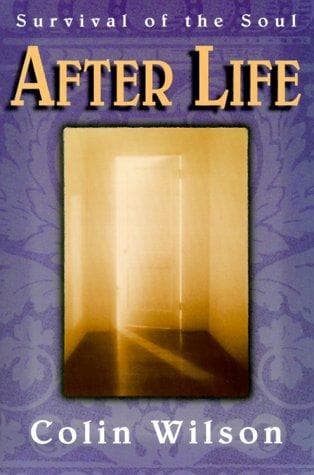 Tapa de Afterlife