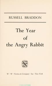 Tapa de The year of the angry rabbit