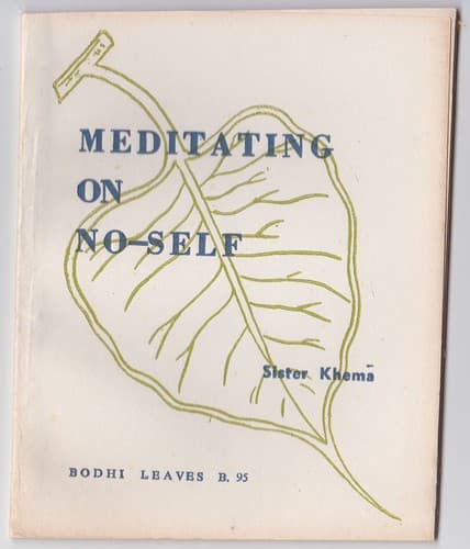 Tapa de Meditating on No-Self