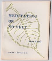 Tapa de Meditating on No-Self