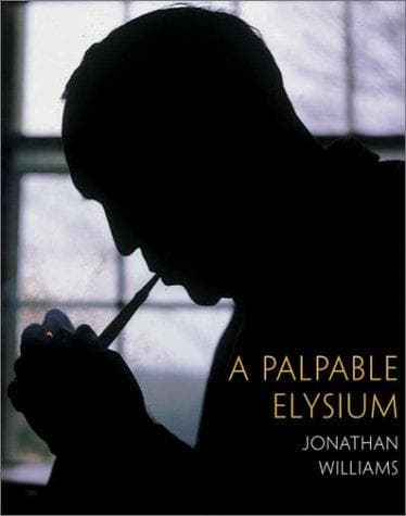 Tapa de A Palpable Elysium