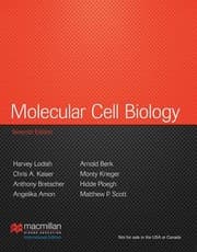 Tapa de Molecular cell biology - 7. ed.