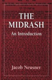 Tapa de The Midrash