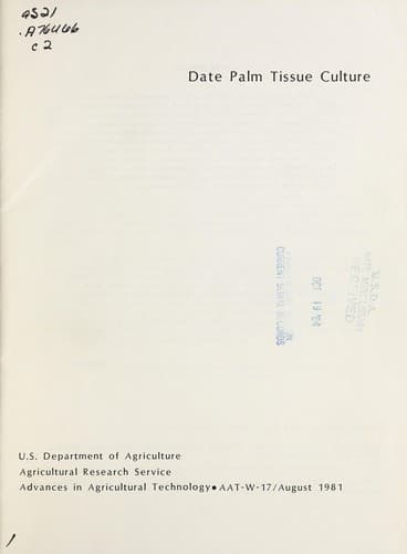 Tapa de Date palm tissue culture