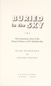 Tapa de Buried in the sky