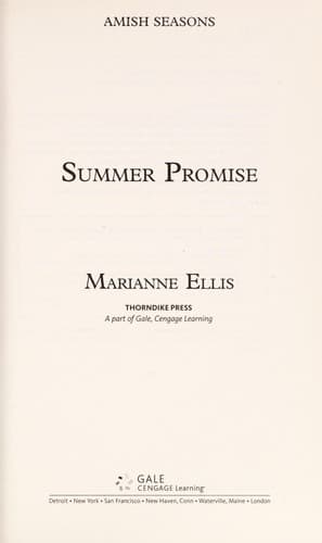 Tapa de Summer promise