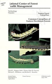 Tapa de Common caterpillars of eastern deciduous forests