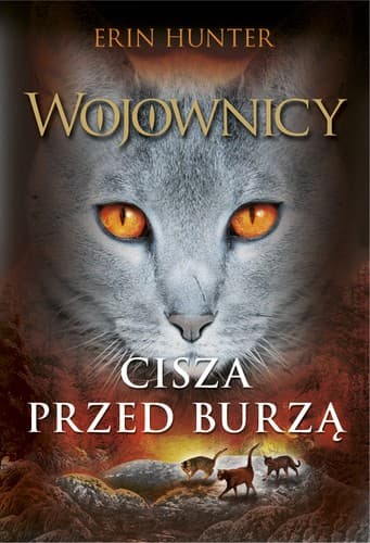 Tapa de Cisza przed burzą