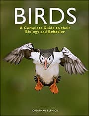 Tapa de Birds