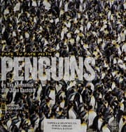 Tapa de Face to face with penguins