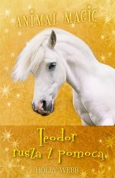 Tapa de Teodor rusza z pomocą