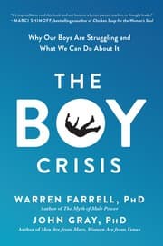 Tapa de The Boy Crisis