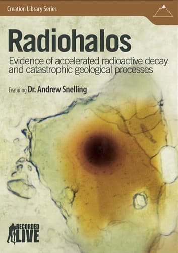 Tapa de Radiohalos