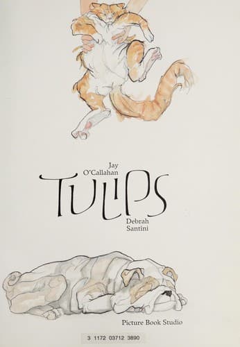 Tapa de Tulips