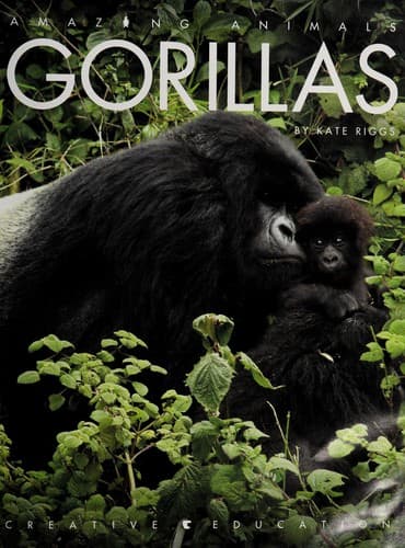 Tapa de Gorillas